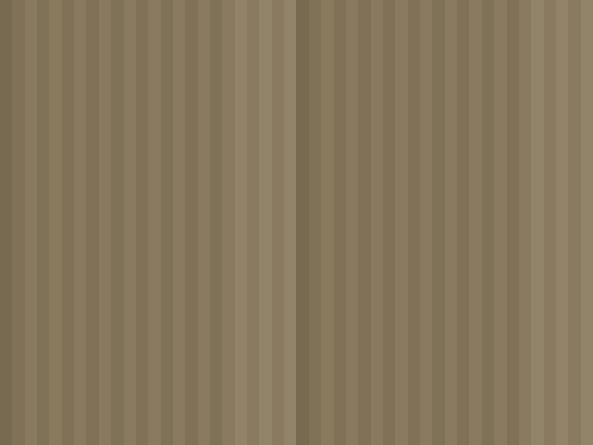 Moleskin pattern
